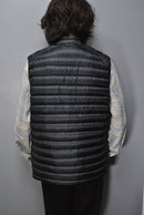 MONTANE Anti Freeze Down Vest