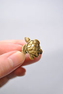 ANATOMICA TURTLE RING