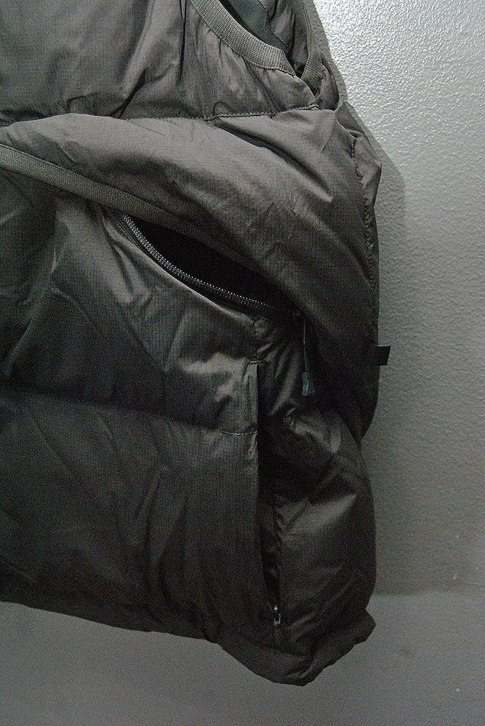 DAIWA PIER39 TECH ALPINE DOWN VEST