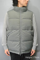 DAIWA PIER39 TECH ALPINE DOWN VEST