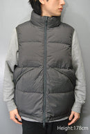 DAIWA PIER39 TECH ALPINE DOWN VEST