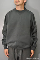 DAIWA PIER39 TECH SWEAT CREW FREEDOM SLEEVE