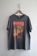 90s PANTERA THE GREAT SOUTHERN TRENDKILL Tシャツ