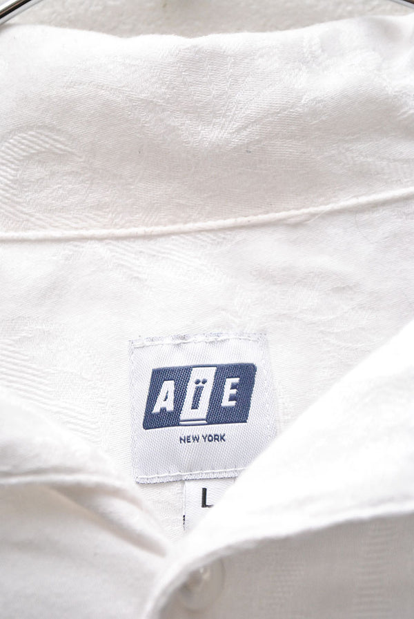 AiE Painter Shirt